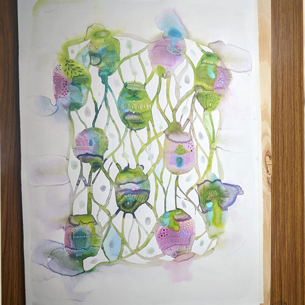 watercolour abstract botanical of australian native flowers and leaves