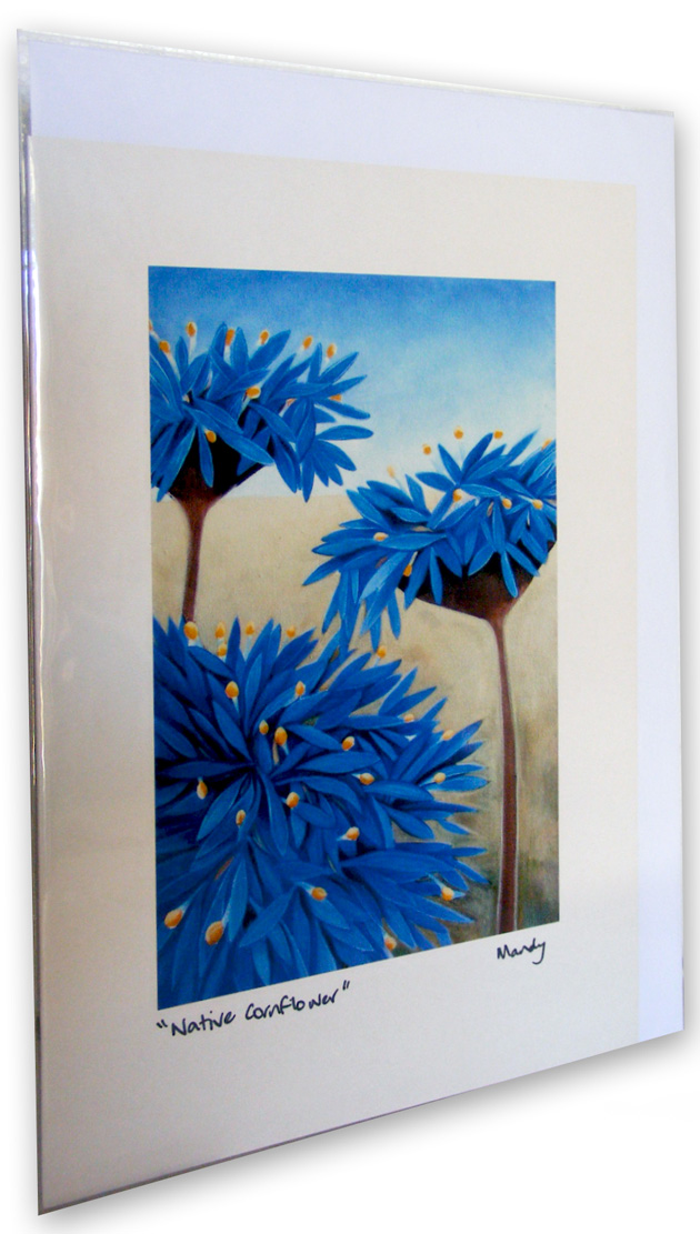 a picture of the native-cornflower card