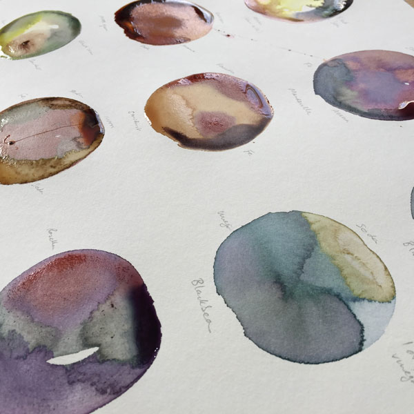 some natural dye swatches in circles