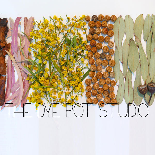 helens dye pot logo including heaps of nuts, seeds and leaves
