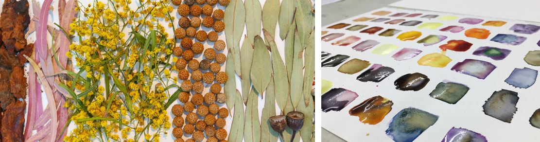 images of the natural seeds and leaves that helen makes ink from and then a swatch full of the different colours she has made