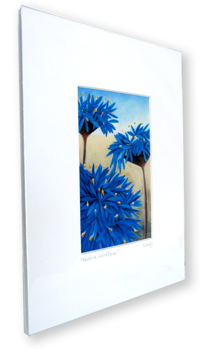a picture of the native-cornflower print